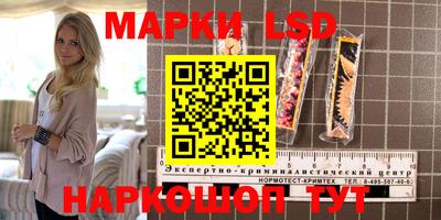 твердый Будённовск