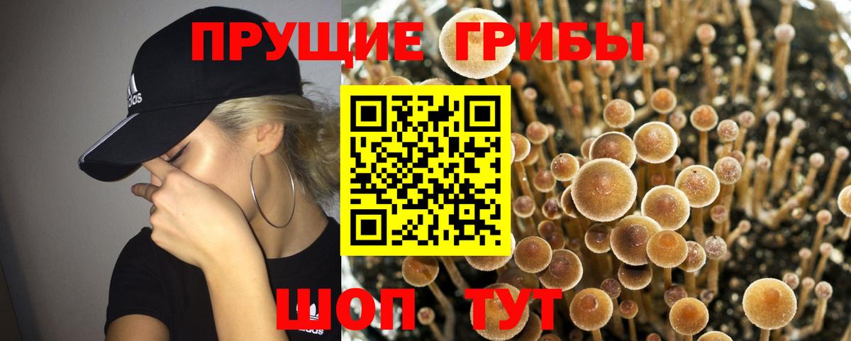 Нижневартовск  Псилоцибиновые грибы Psilocybe  Вход с VPN 